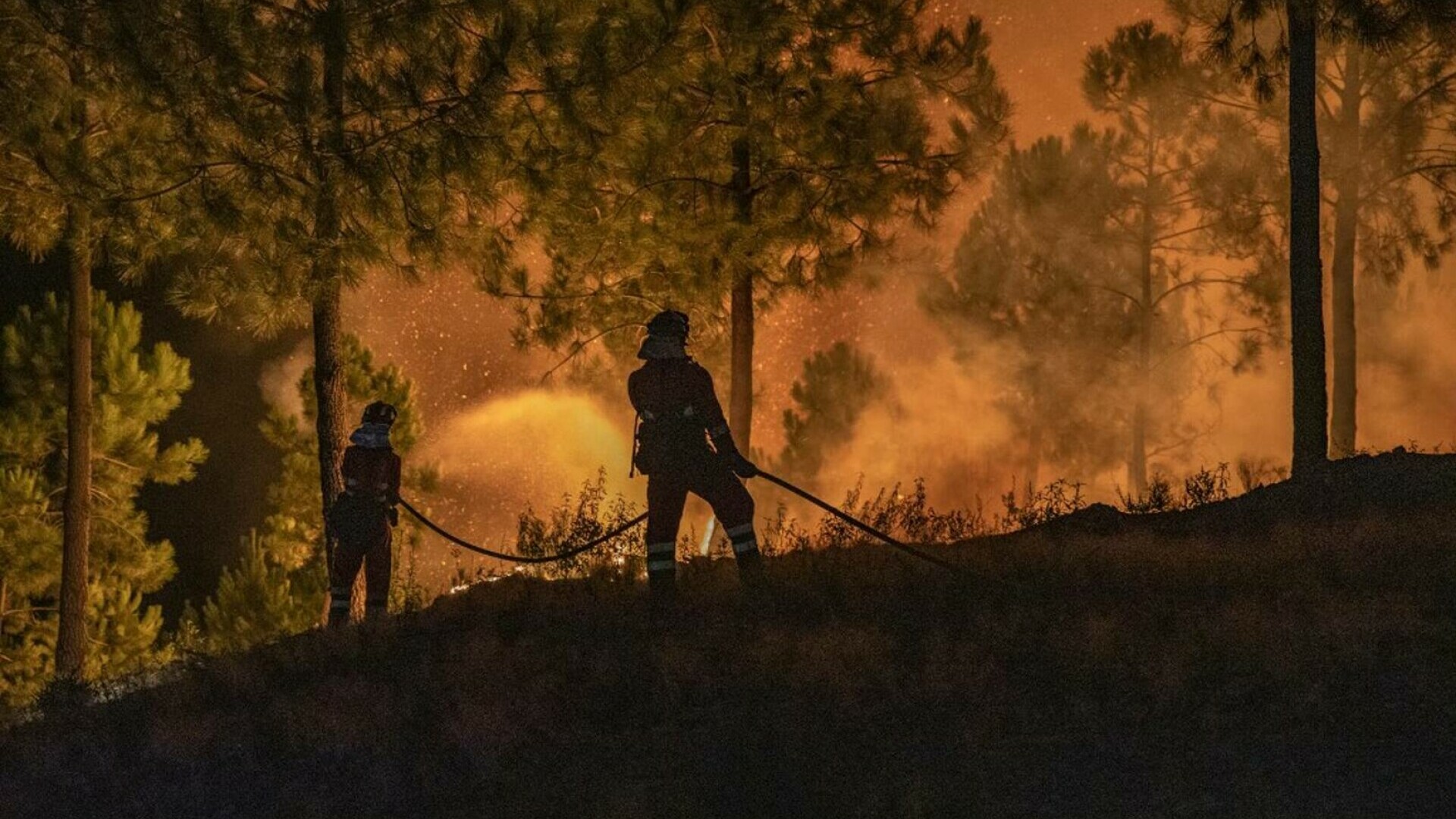 Tragedie în Spania. Un român a murit în incendiile de vegetație din apropierea Madridului
