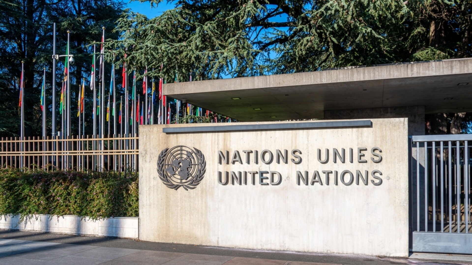 Un raport ONU afirmă că rapoartele transmise de ONU nu prea sunt citite de mulți