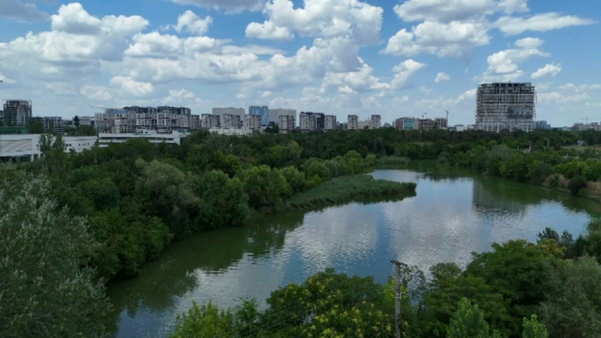 Bucureștiul câștigă un colț de natură: Pajiștea Petricani, salvată de la betonare și trecută în rândul zonelor protejate
