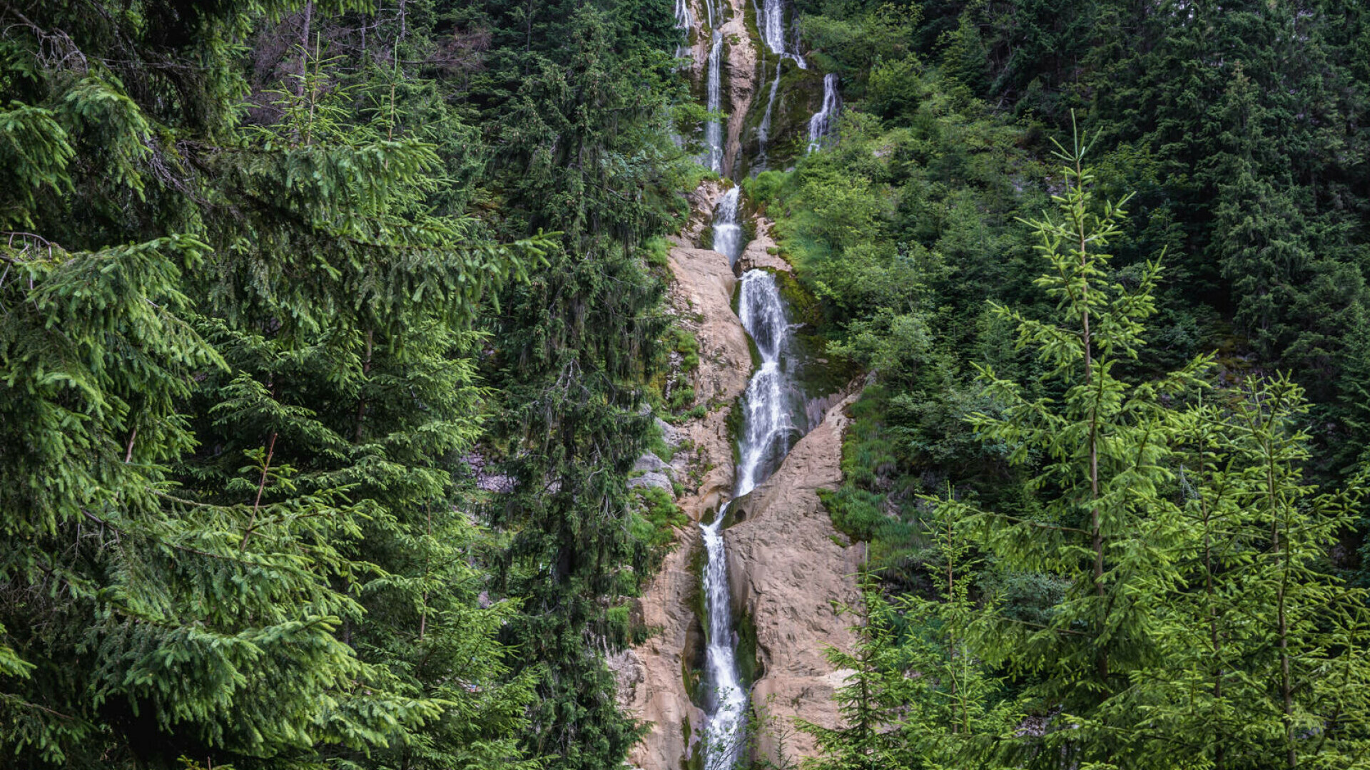 Cascada Cailor, comoara ascunsă a Maramureșului. Cum ajungi, drumeții, peisaje și istorie
