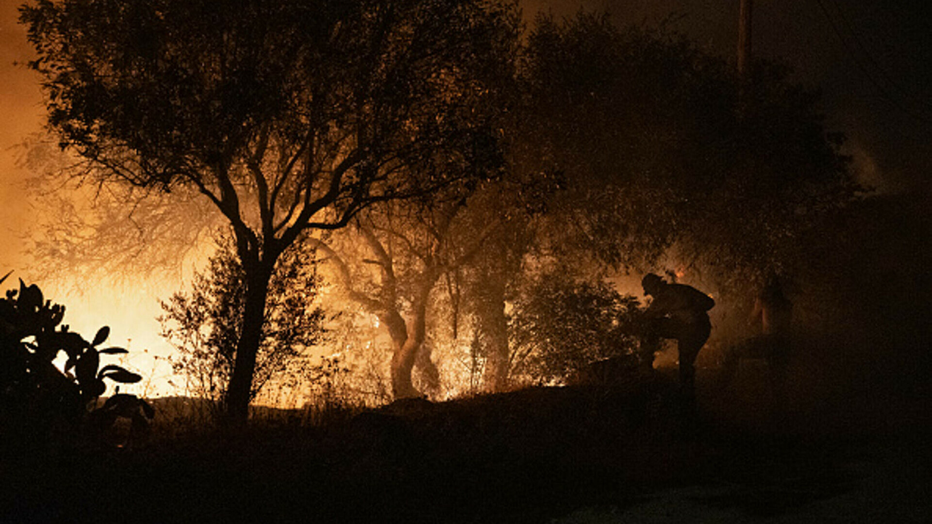 incendii grecia si turcia