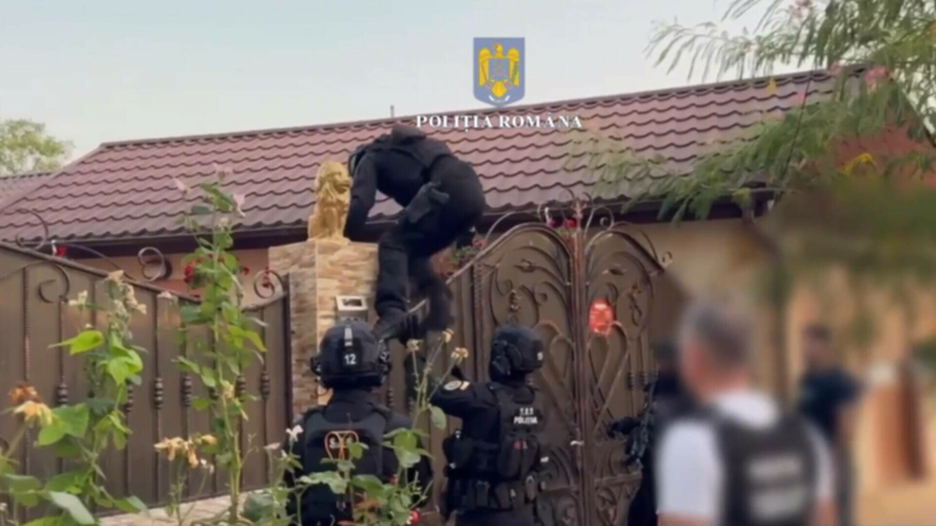 Surse: Un suspect al crimei de la Padina încearcă să scape de pedeapsă printr-un denunț fals. Polițiștii au făcut percheziții