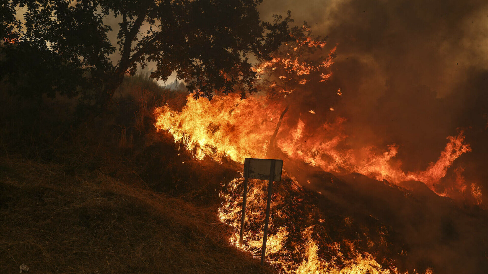 incendiu portugalia