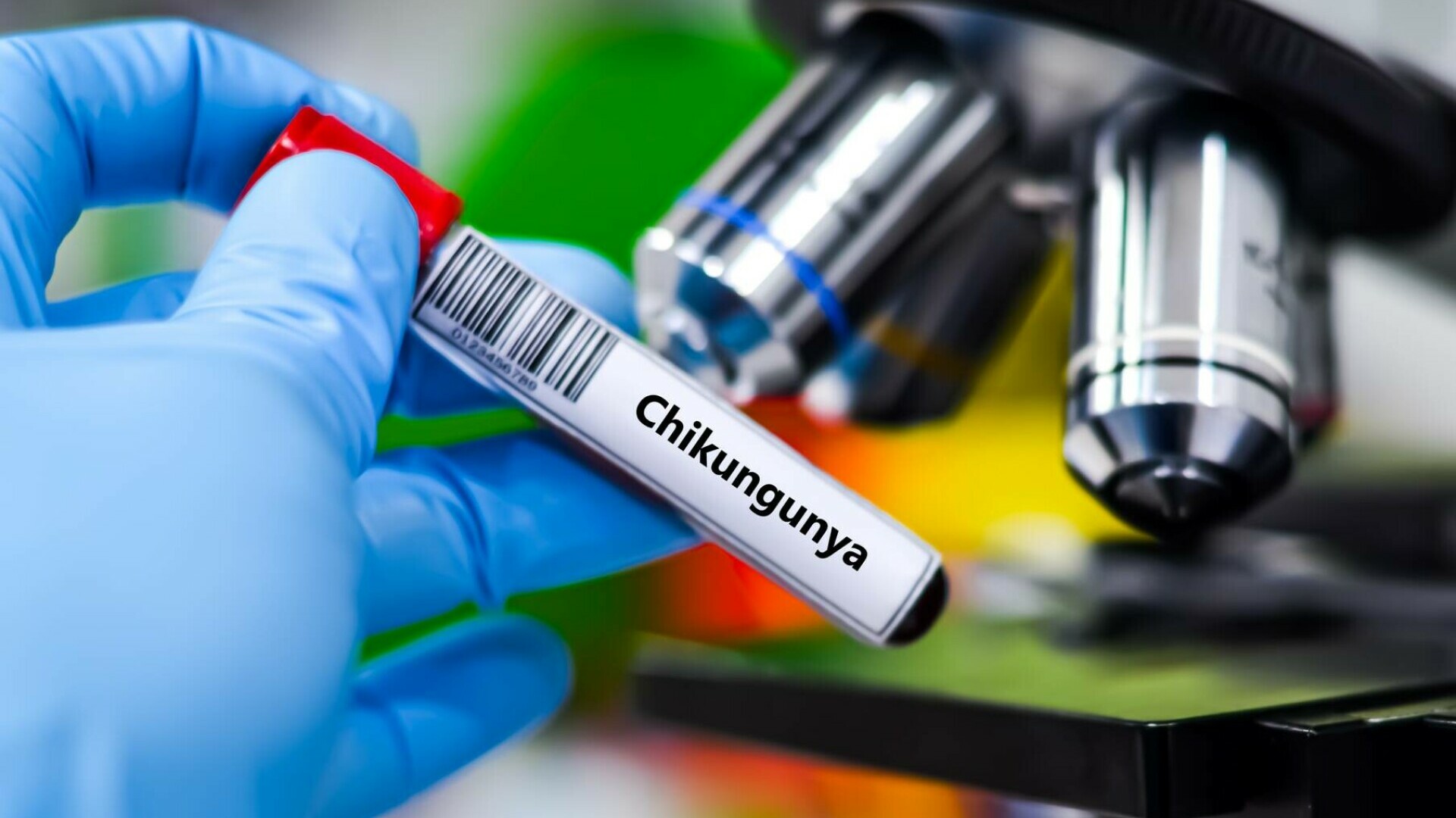 chikungunya