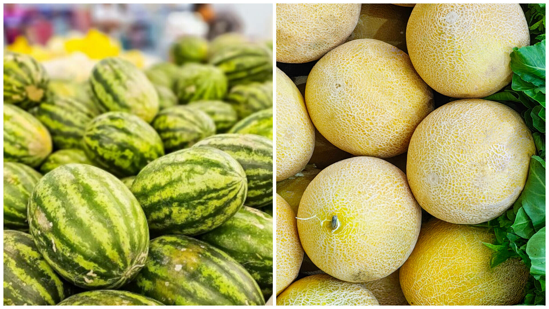 pepene galben vs pepene rosu