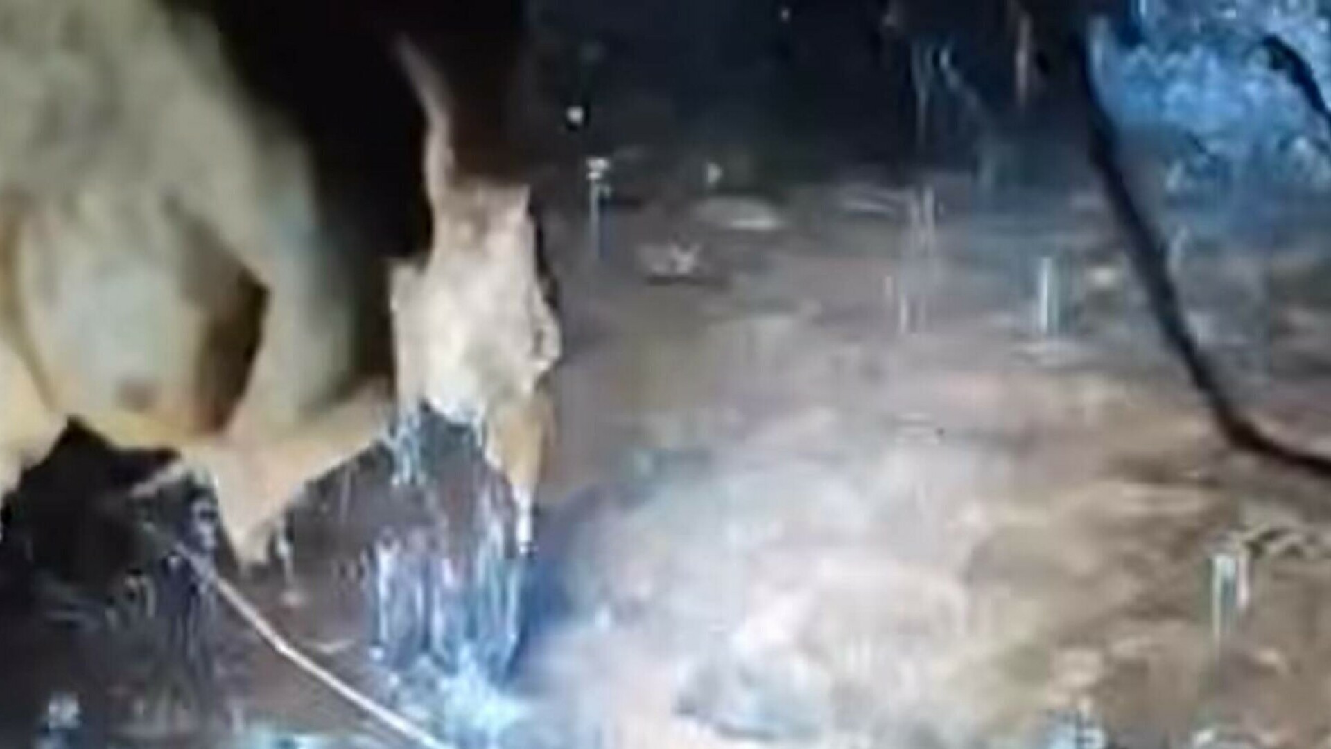 Cum arată conducta spartă, veche de 40 de ani, care a lăsat peste 5.000 de blocuri din Capitală fără apă caldă. Video