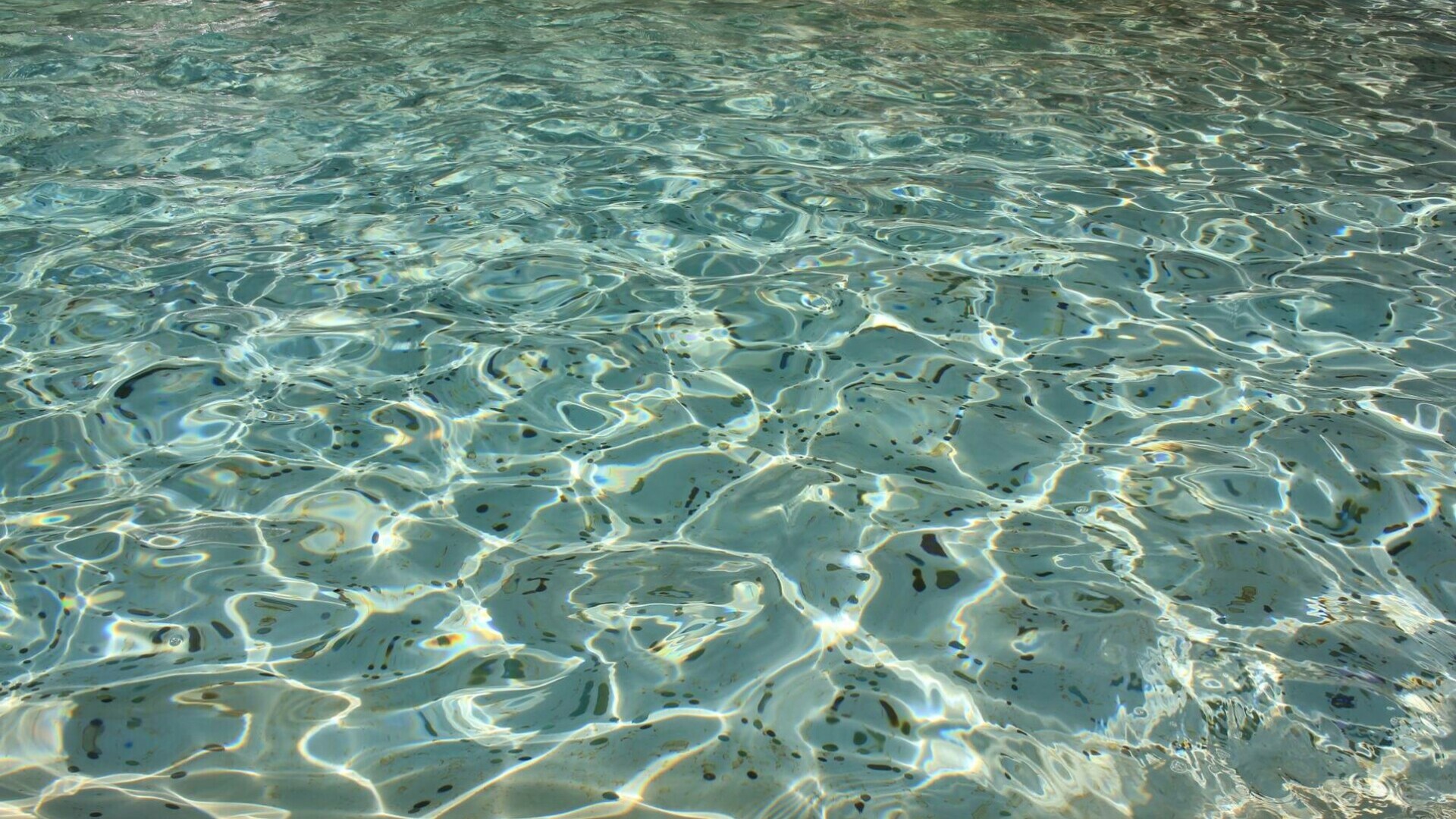 Turiștii aruncă milioane de euro în Fontana di Trevi. Ce se întâmplă cu monedele