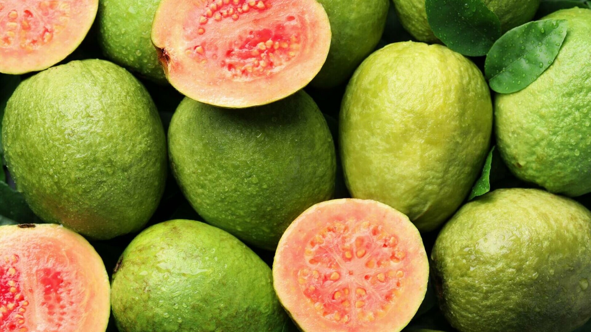 guava