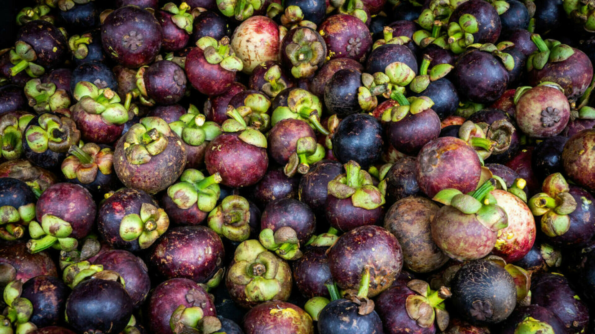 Mangostan - regina fructelor. Ce este, cum se mănâncă și ce beneficii are pentru sănătate