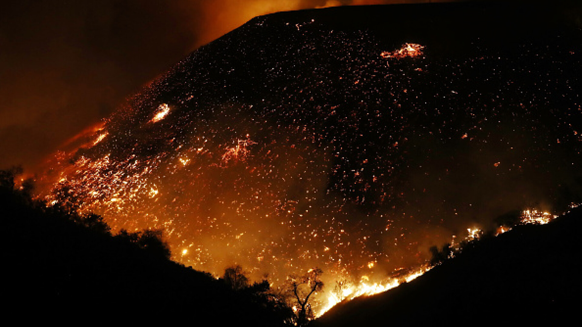 Incendii de vegetație în California