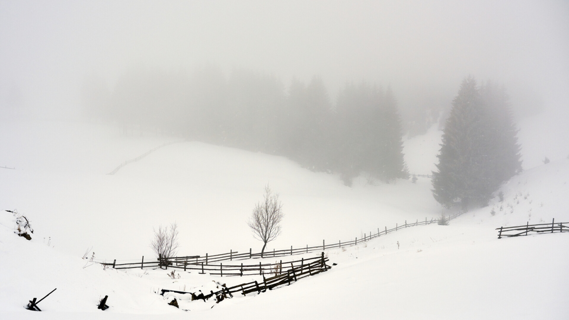 ninsoare romania