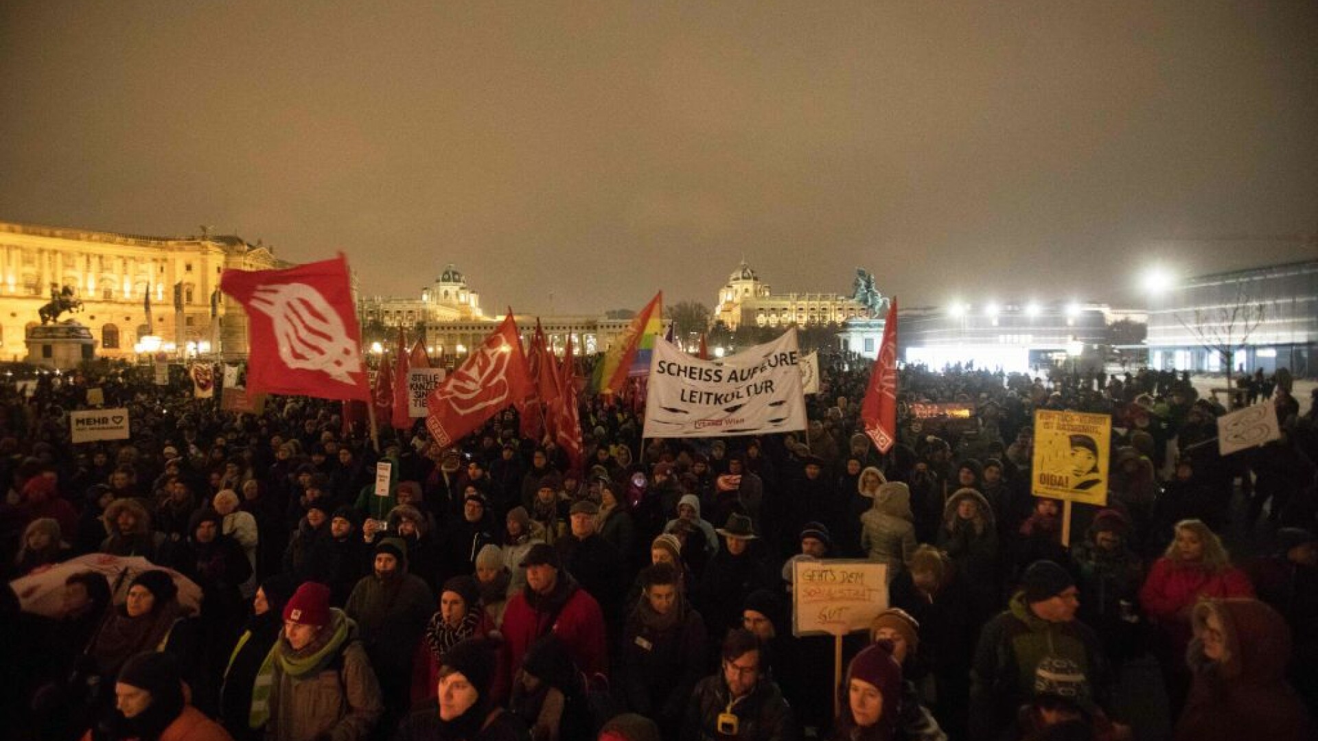 protest viena