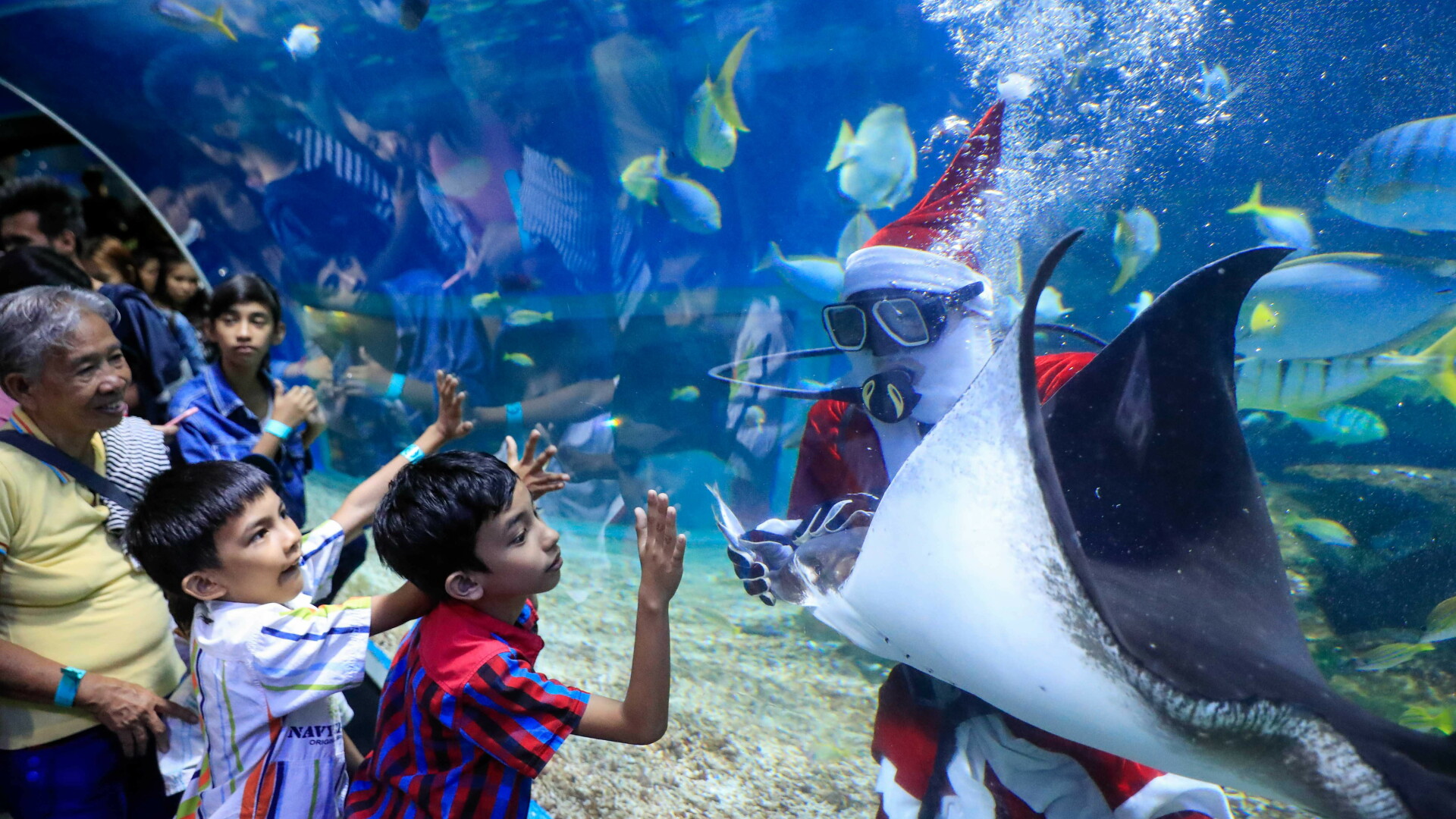 Scafandru costumat în Moș Crăciun în Parcul Oceanic din Manila
