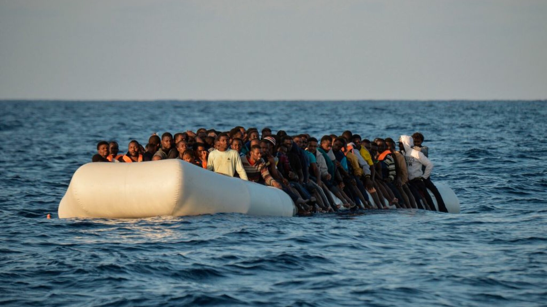 migranți