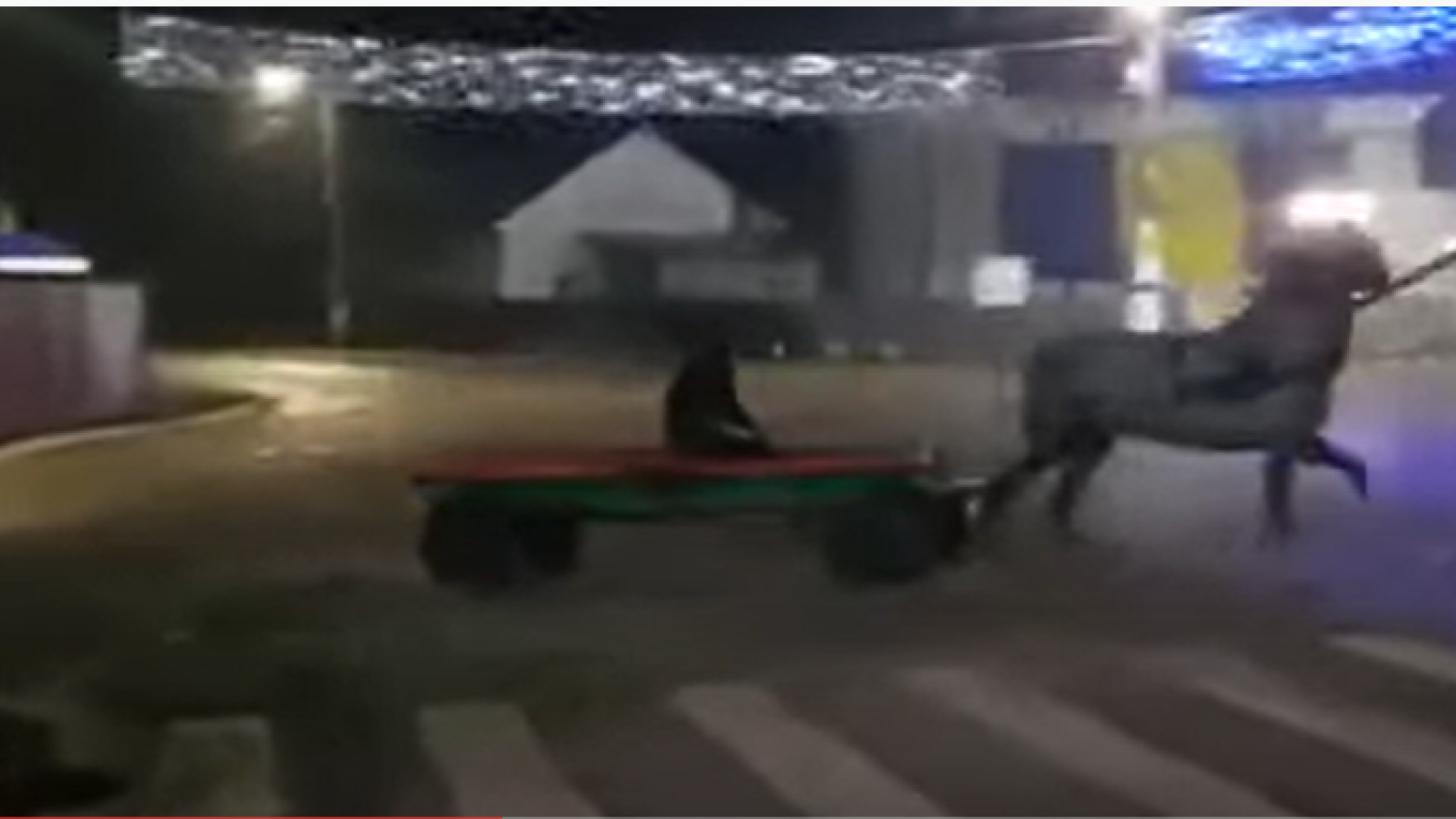 Drifturi cu căruța în centrul unui oraș din România VIDEO