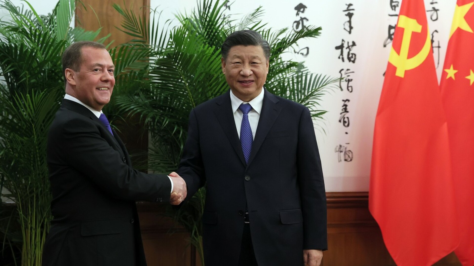 Xi Jinping, Dmitri Medvedev