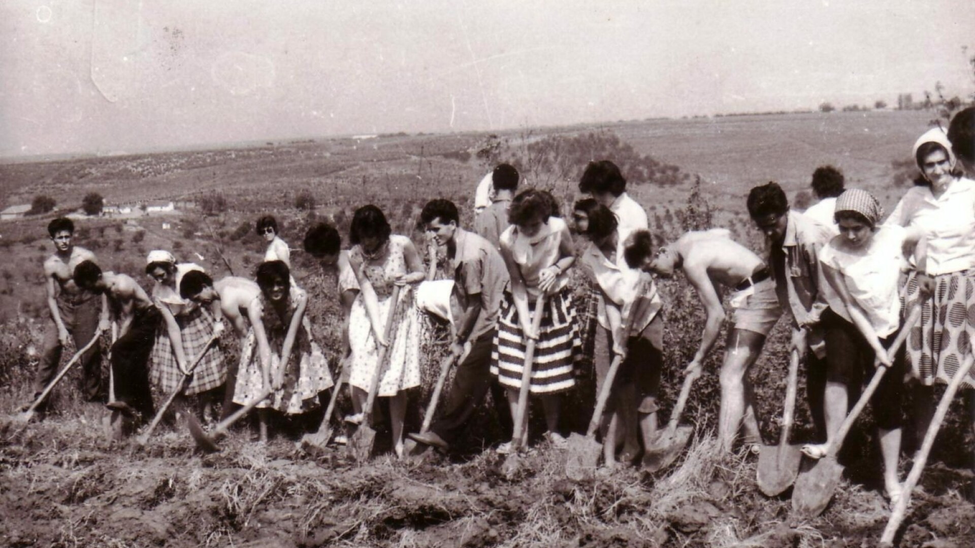 Studenti in comunism