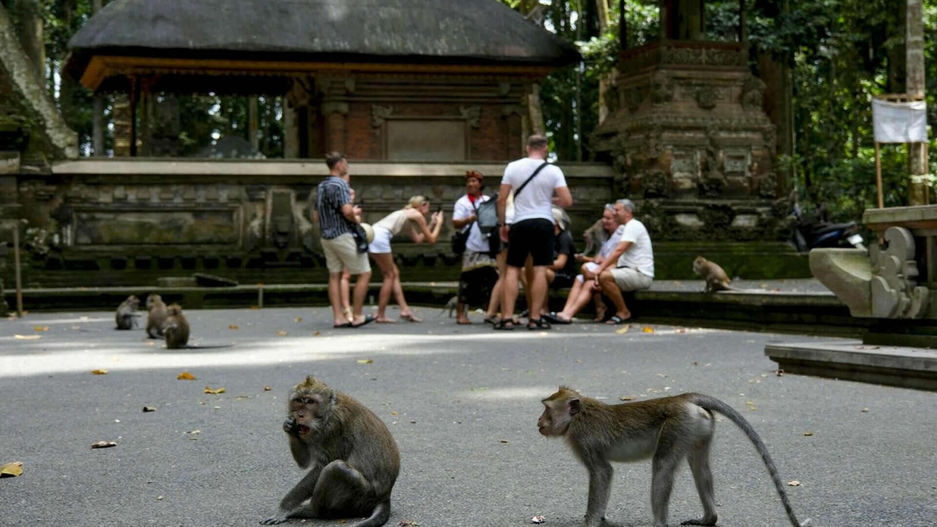 bali