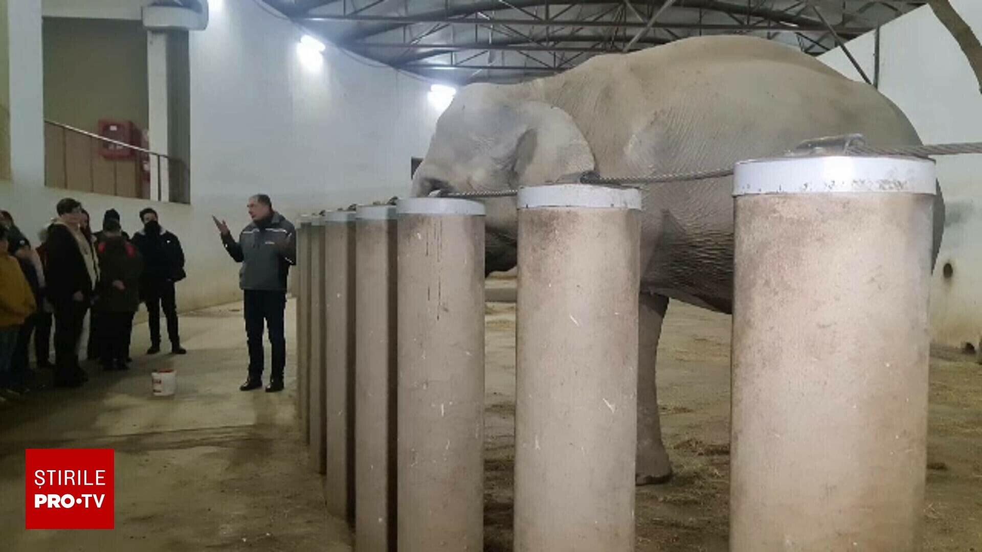 Solstițiul de iarnă, marcat la grădina zoologică din Târgu Mureș cu o plimbare nocturnă. Surprize pentru vizitatori