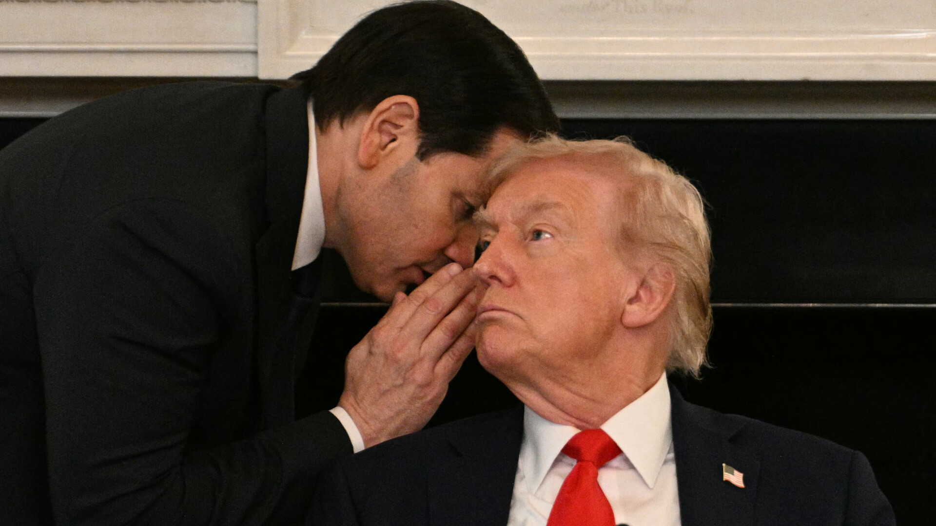 rubio si trump