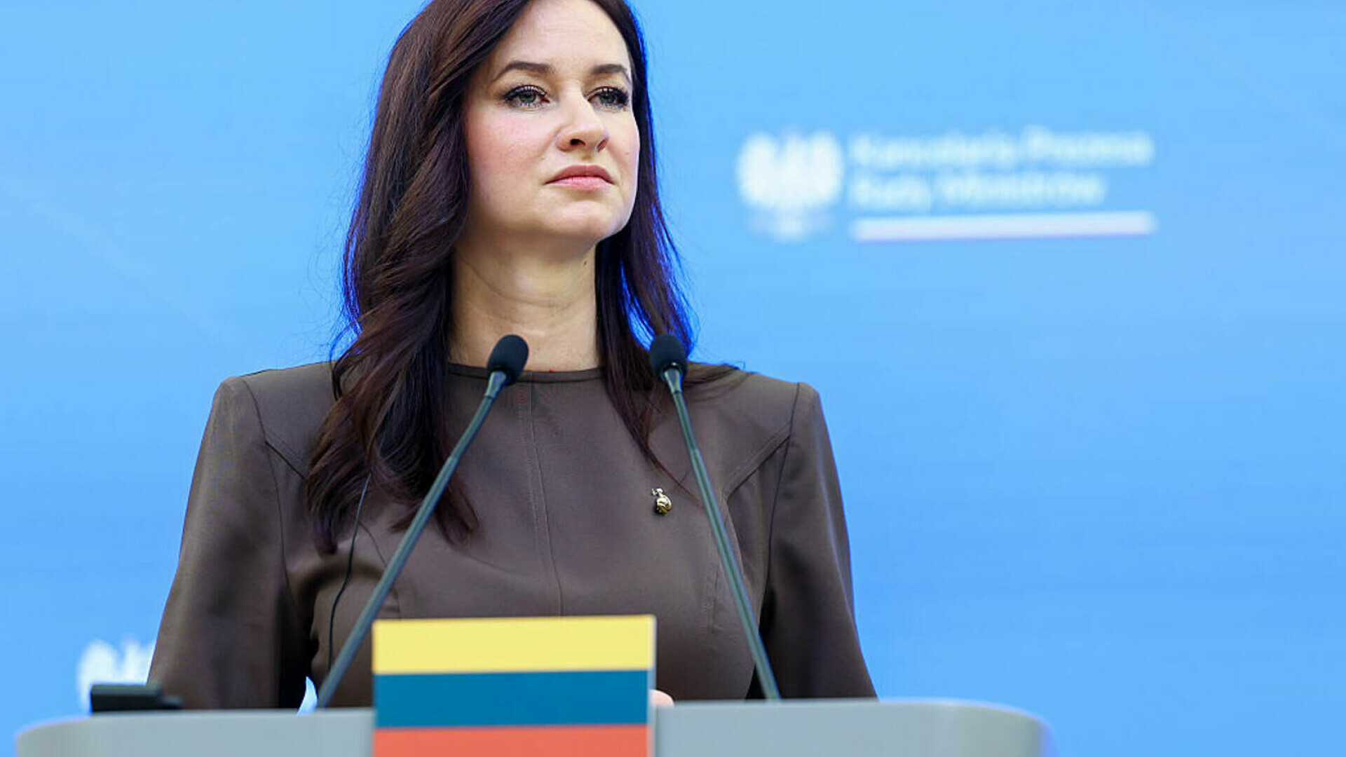 Premierul lituanian Inga Ruginiene