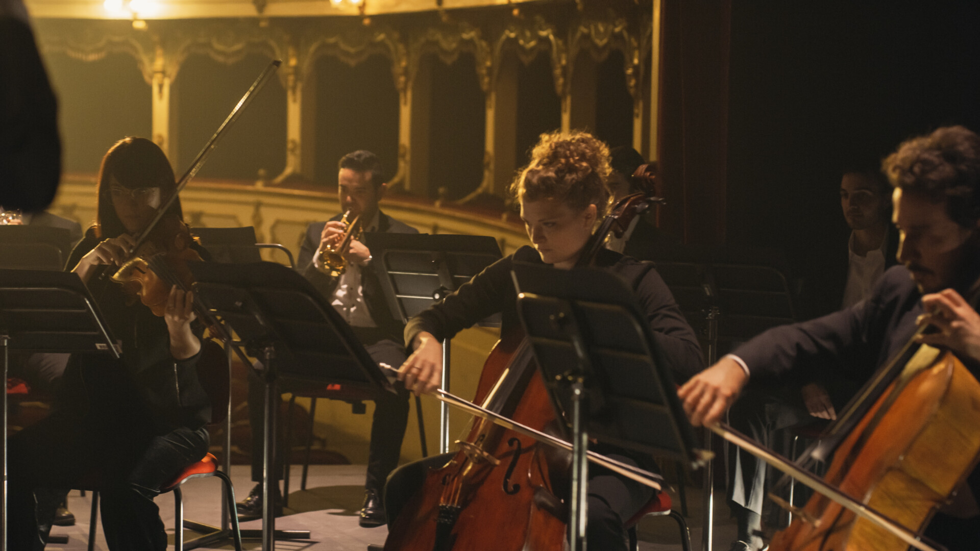 concert muzica clasica