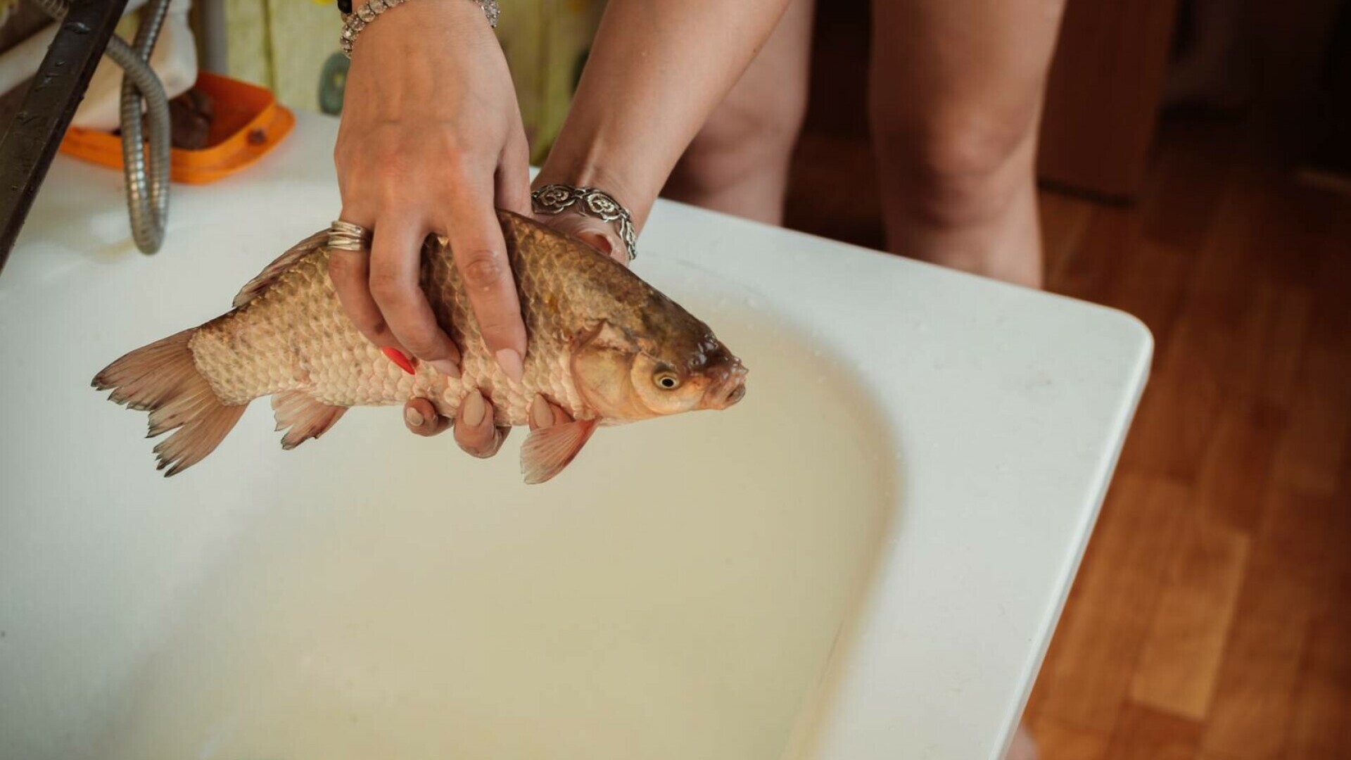 De ce se ține un crap viu în casă de Crăciun. Ce semnifică acest obicei ciudat și unde se practică