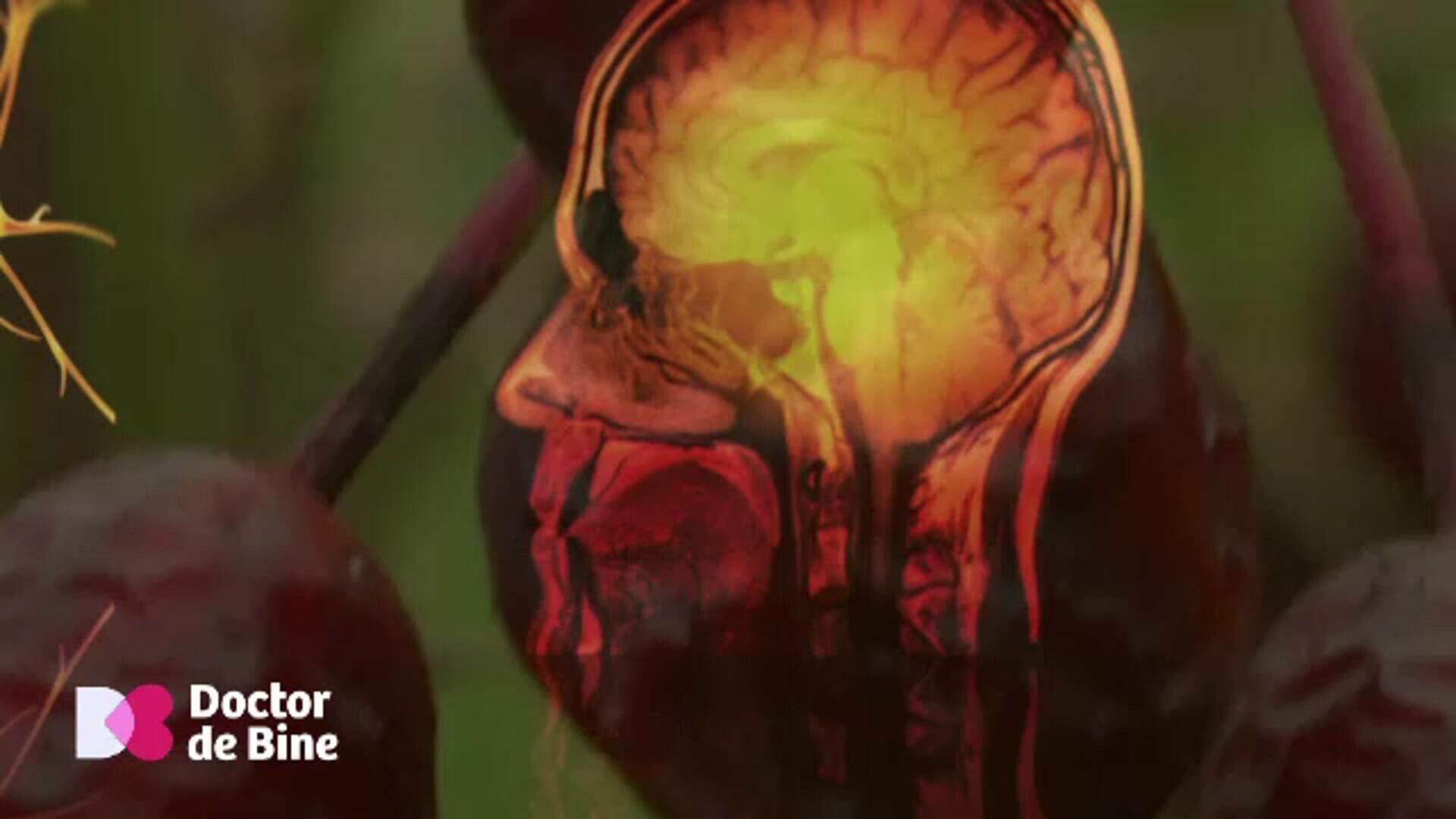 Legătura nebănuită dintre vitamina C și hormoni. Cum se poate lua numai din alimentație