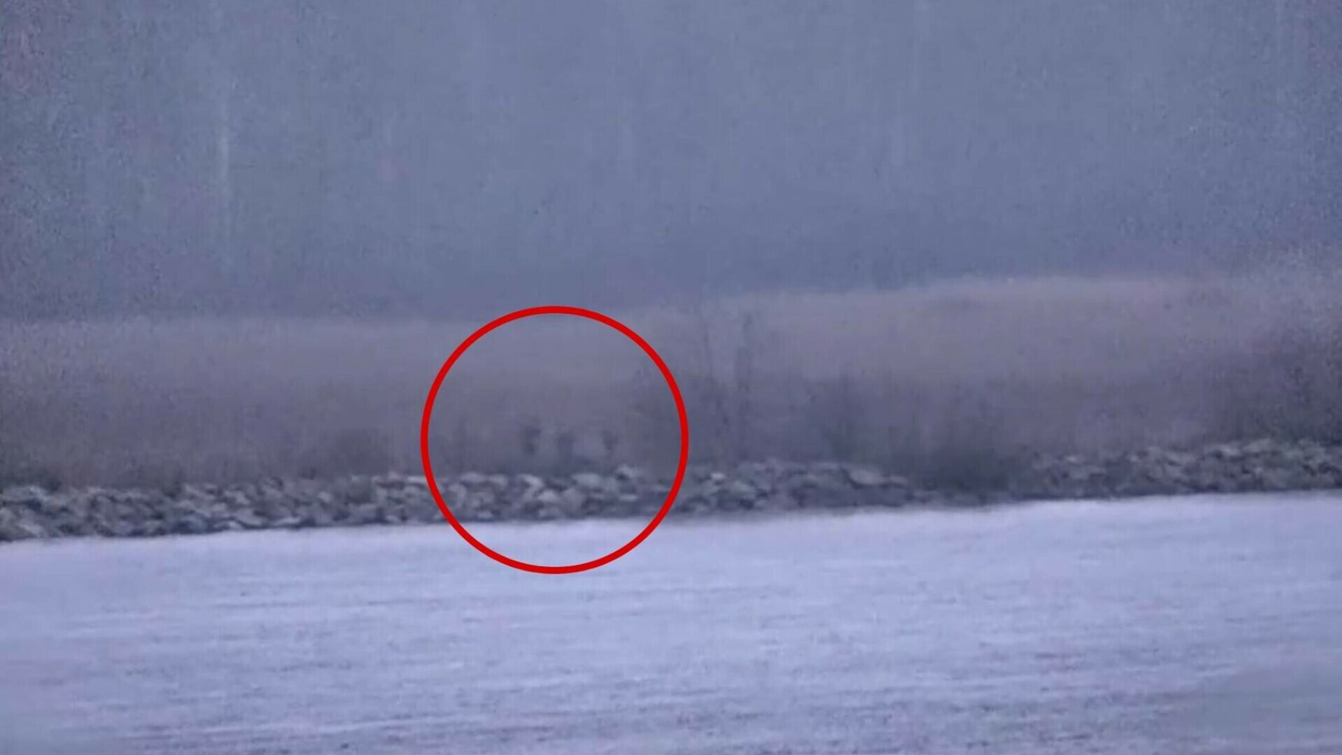 rusi granita estonia