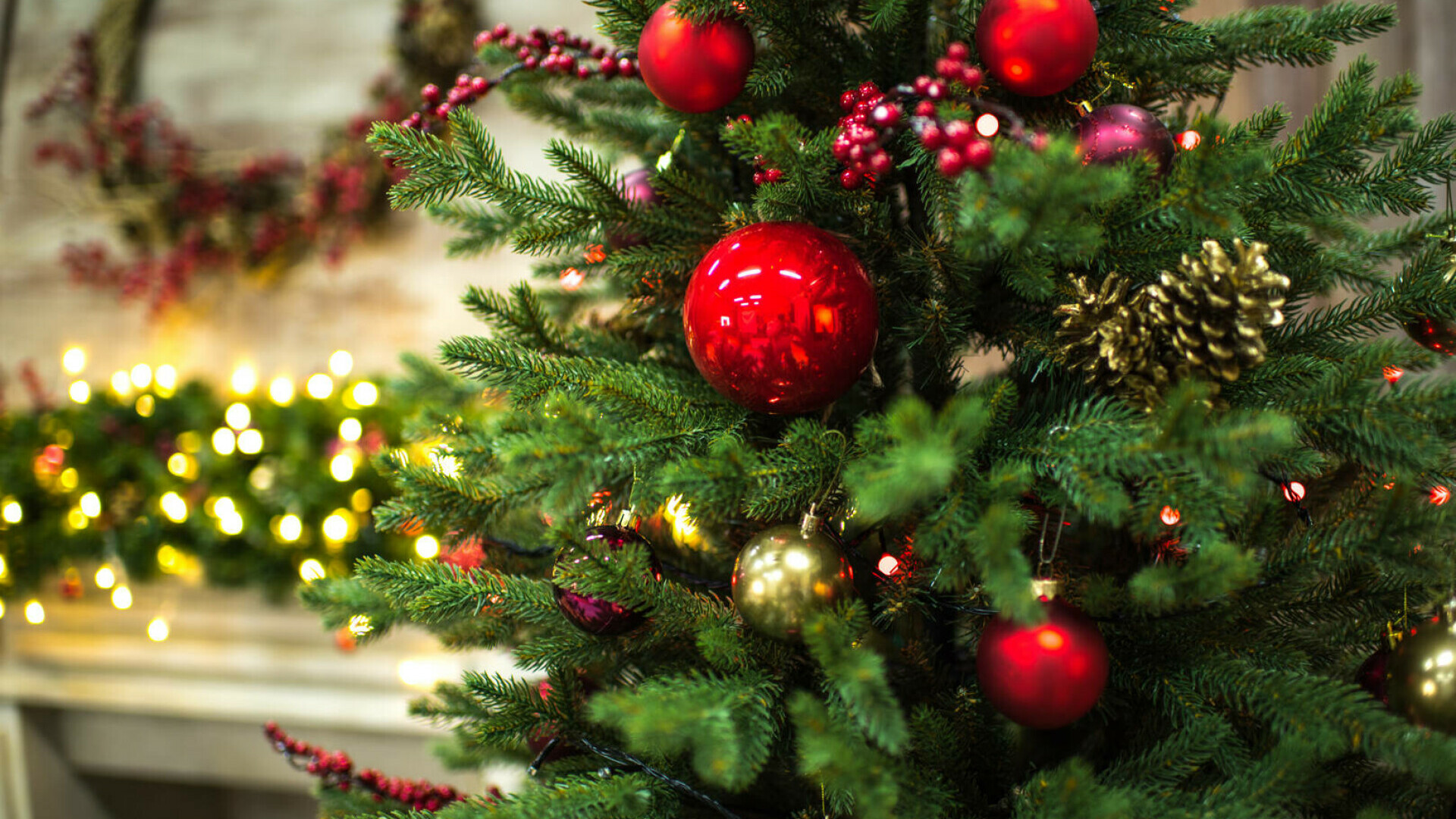 Cum să speli corect bradul de Crăciun artificial. Pași esențiali înainte de a-l împodobi