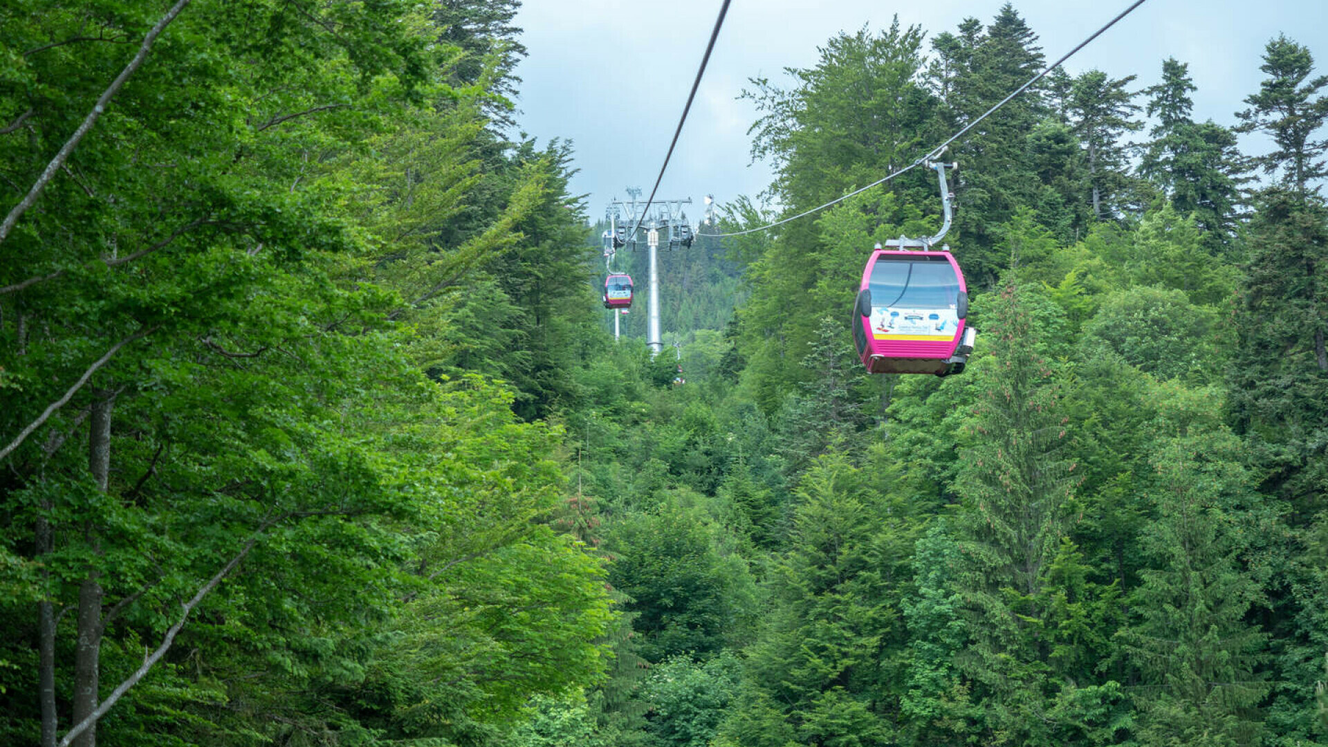 Probleme în funcţionarea instalaţiilor de transport pe cablu de la Sinaia, din cauza vântului puternic