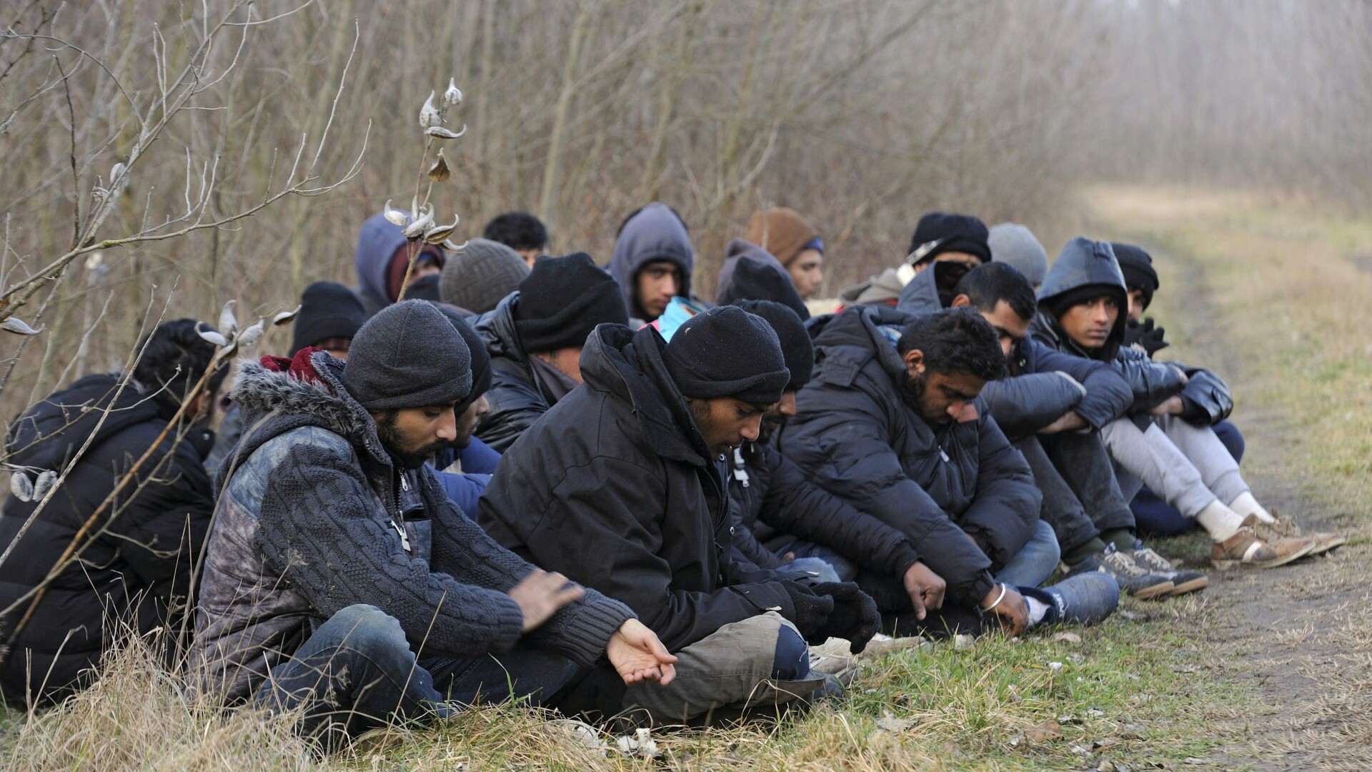 migranti la granita cu ungaria