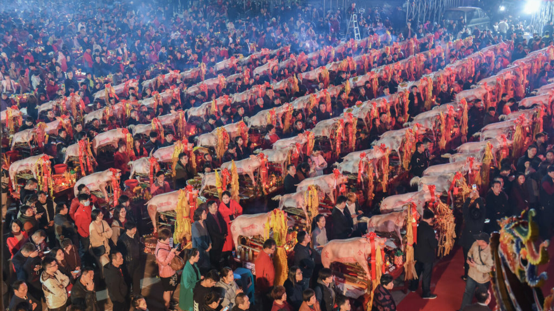 Porci cu portocale în gură, ofrandă pentru Împăratul de Jad într-o ceremonie din China