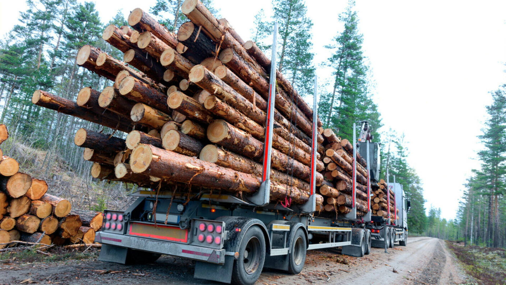 Transport de lemne