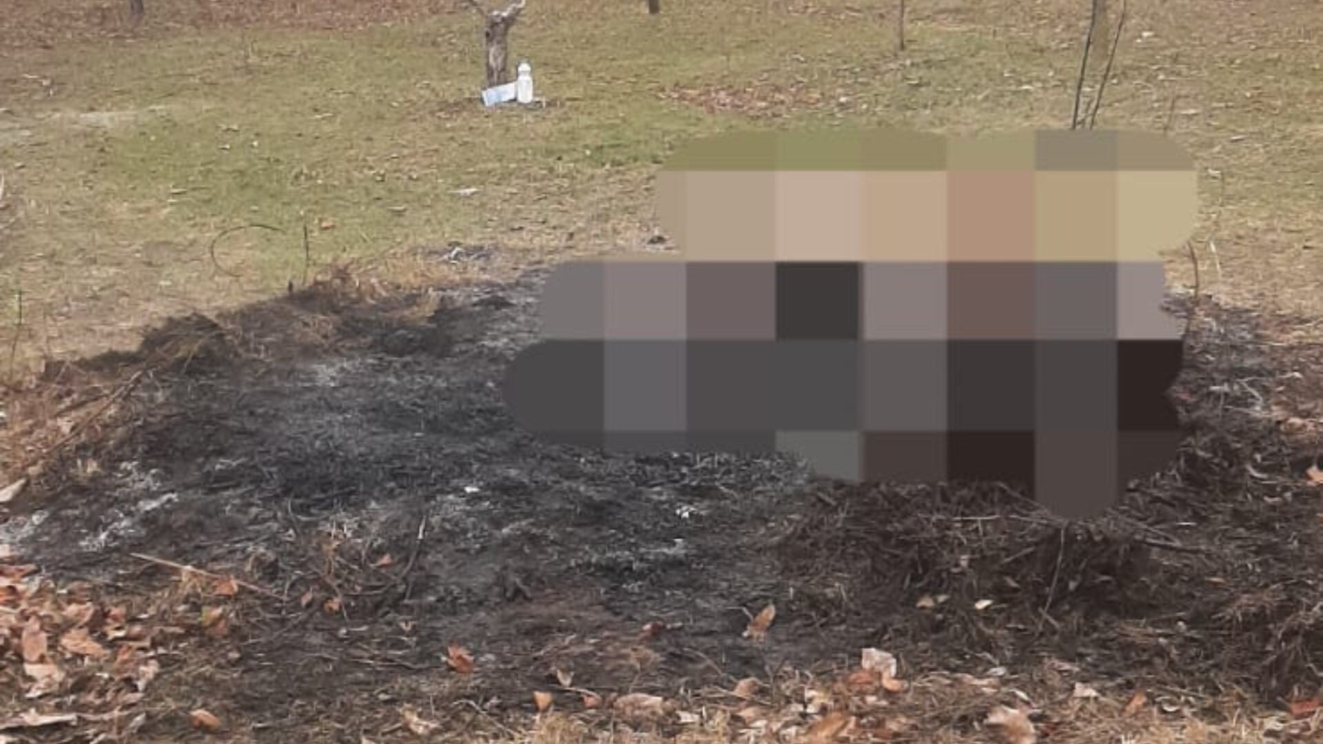 Un bărbat, mort după ce a căzut în grămada de resturi vegetale pe care le incendia în curtea casei