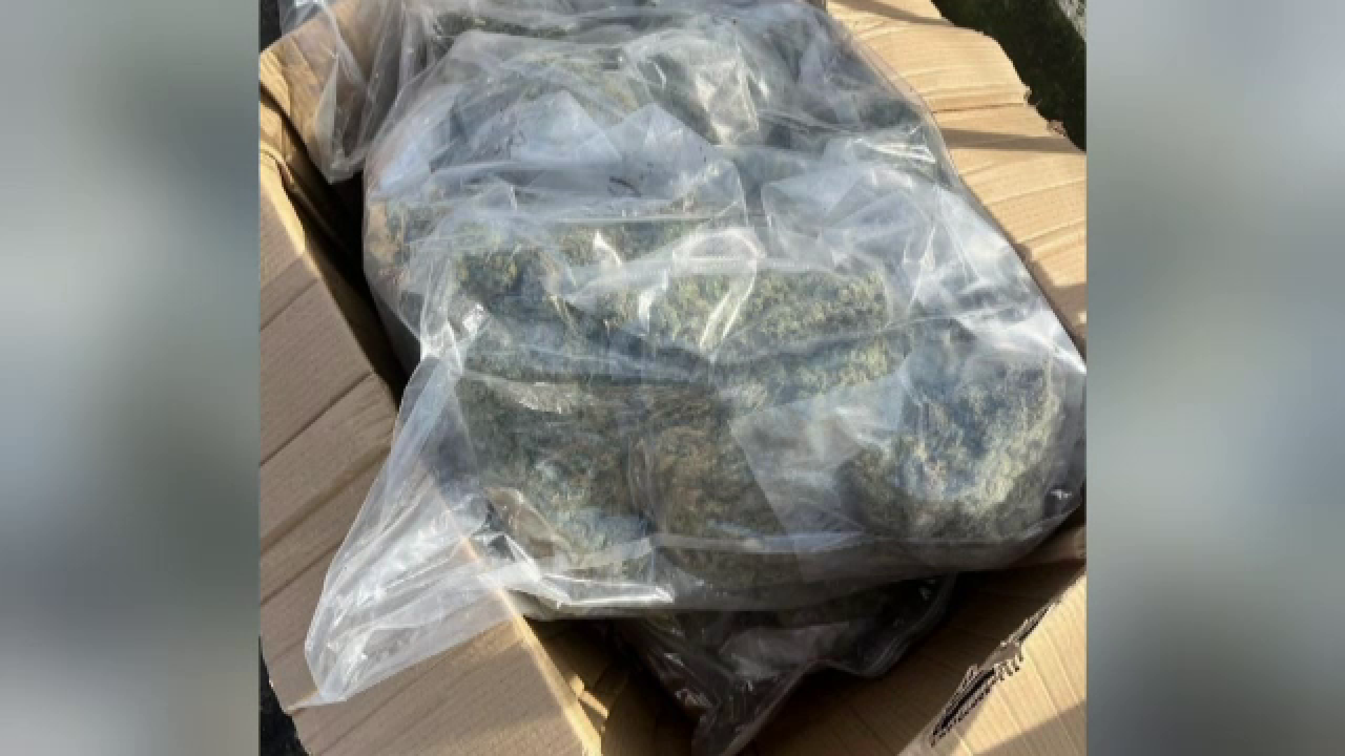 Bilanţul acţiunilor antidrog ale Poliţiei şi DIICOT anul acesta: Doar 330 de kg de droguri de mare risc în 1.100 percheziții