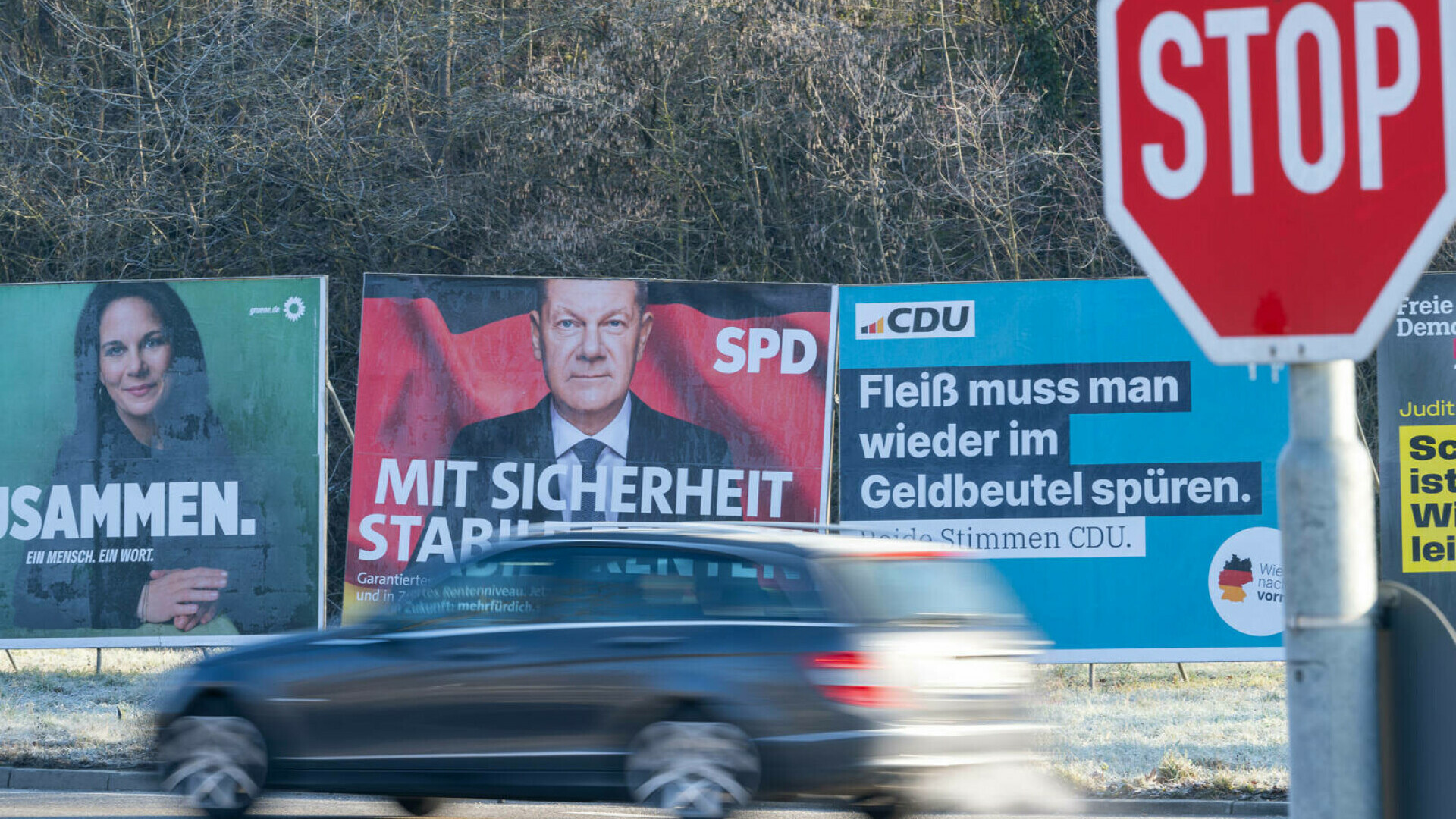 Afise partidul Verzilor în Germania