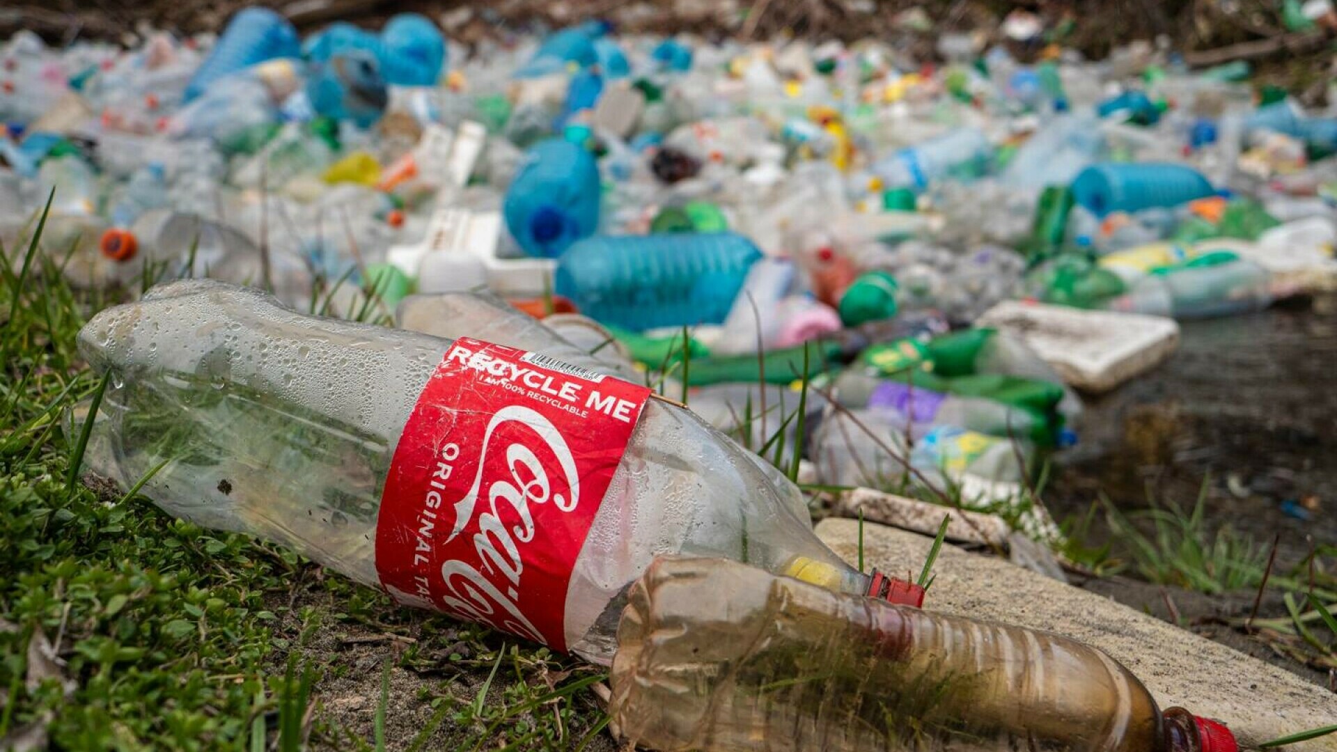 pet coca cola
