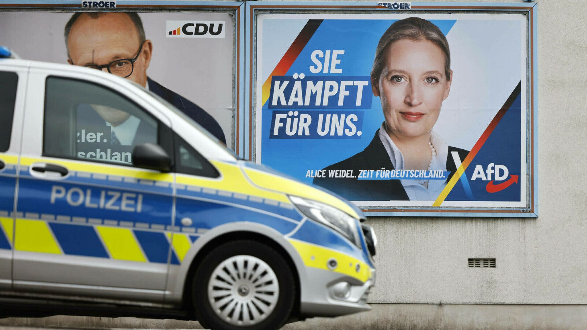 Alice Weidel, liderul AfD