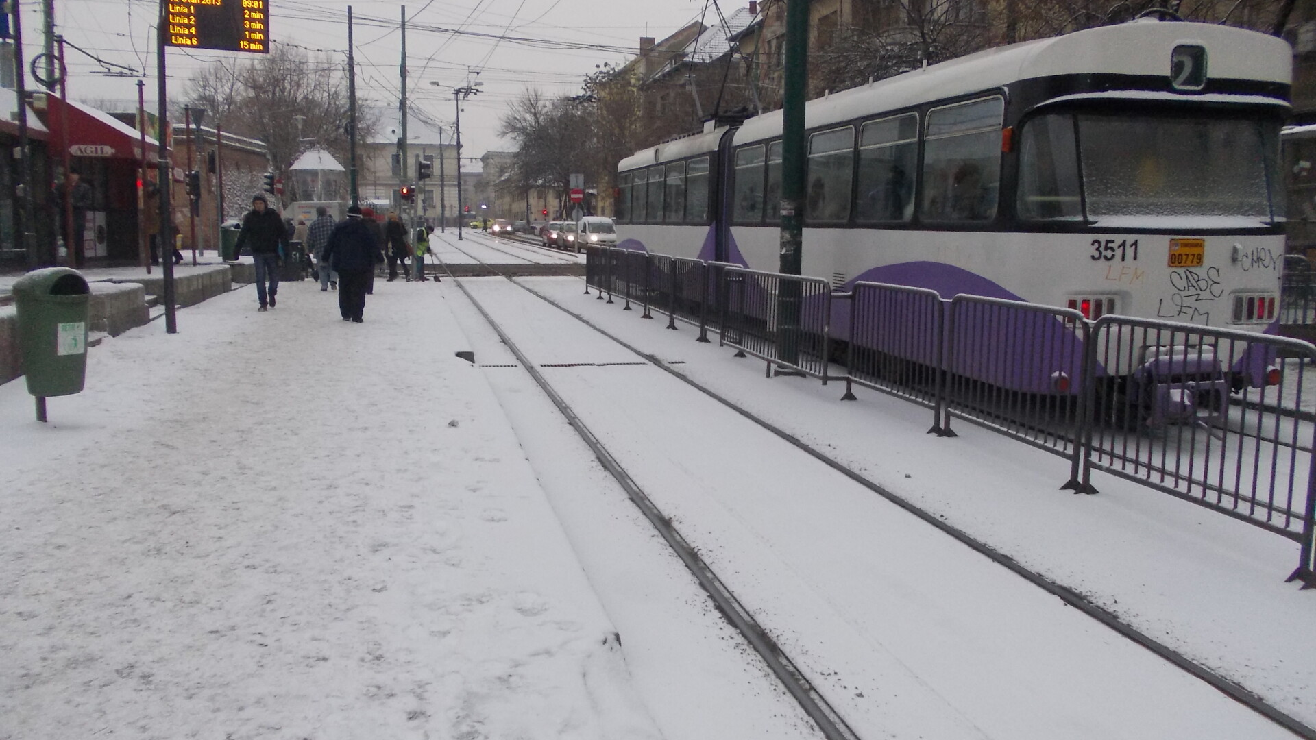 zapada, timisoara