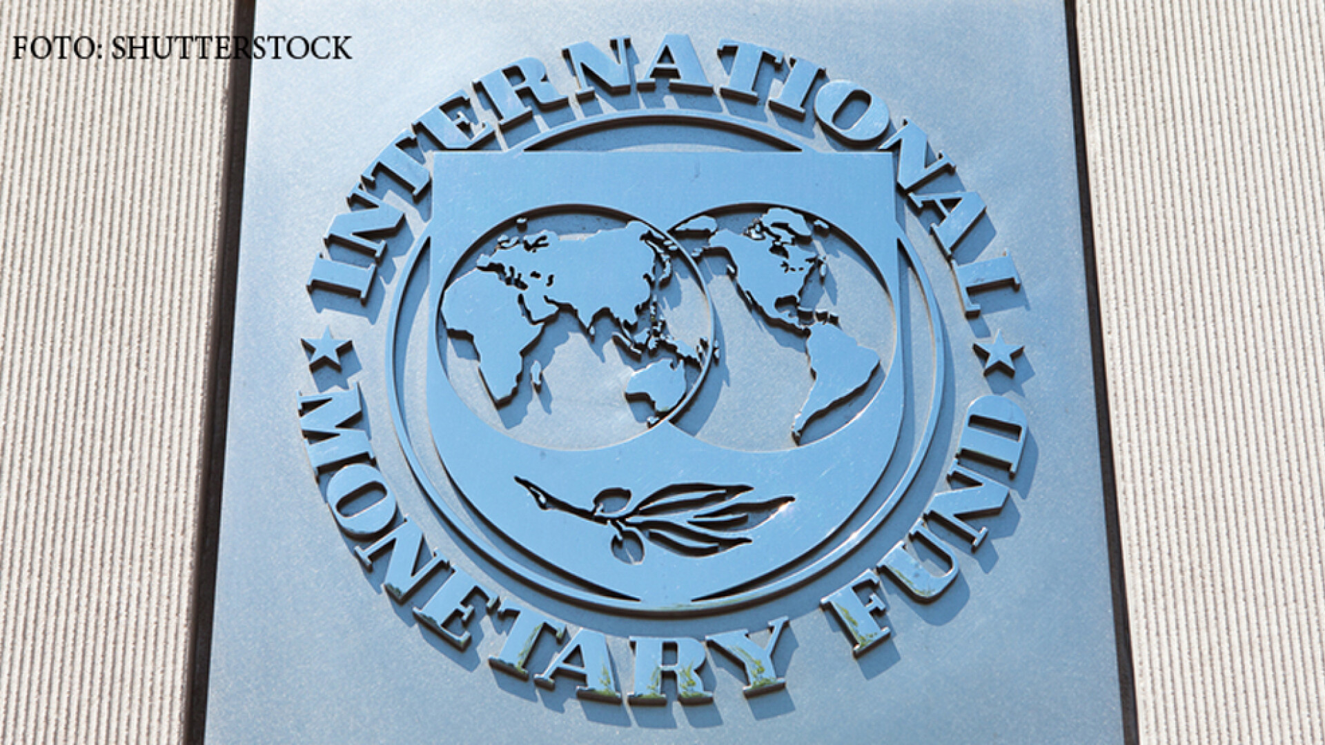 sigla FMI