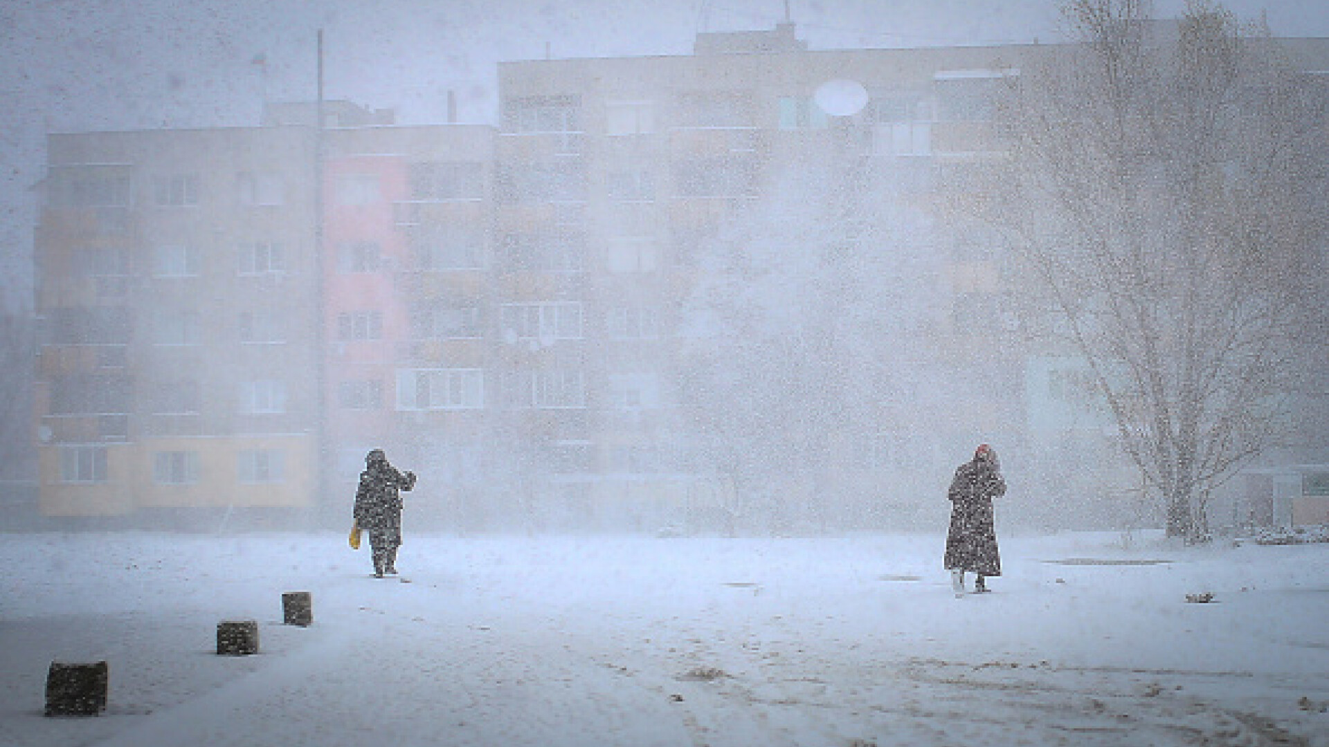 bulgaria zapada