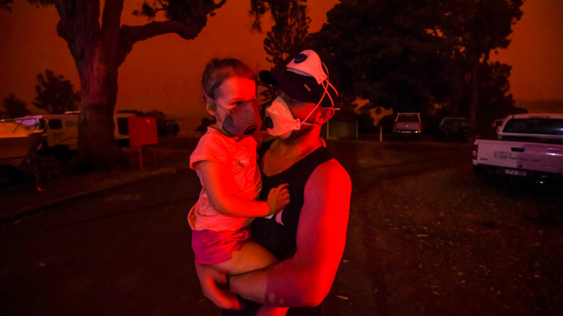 Imagini emoționante din Australia, în urma incendiilor devastatoare