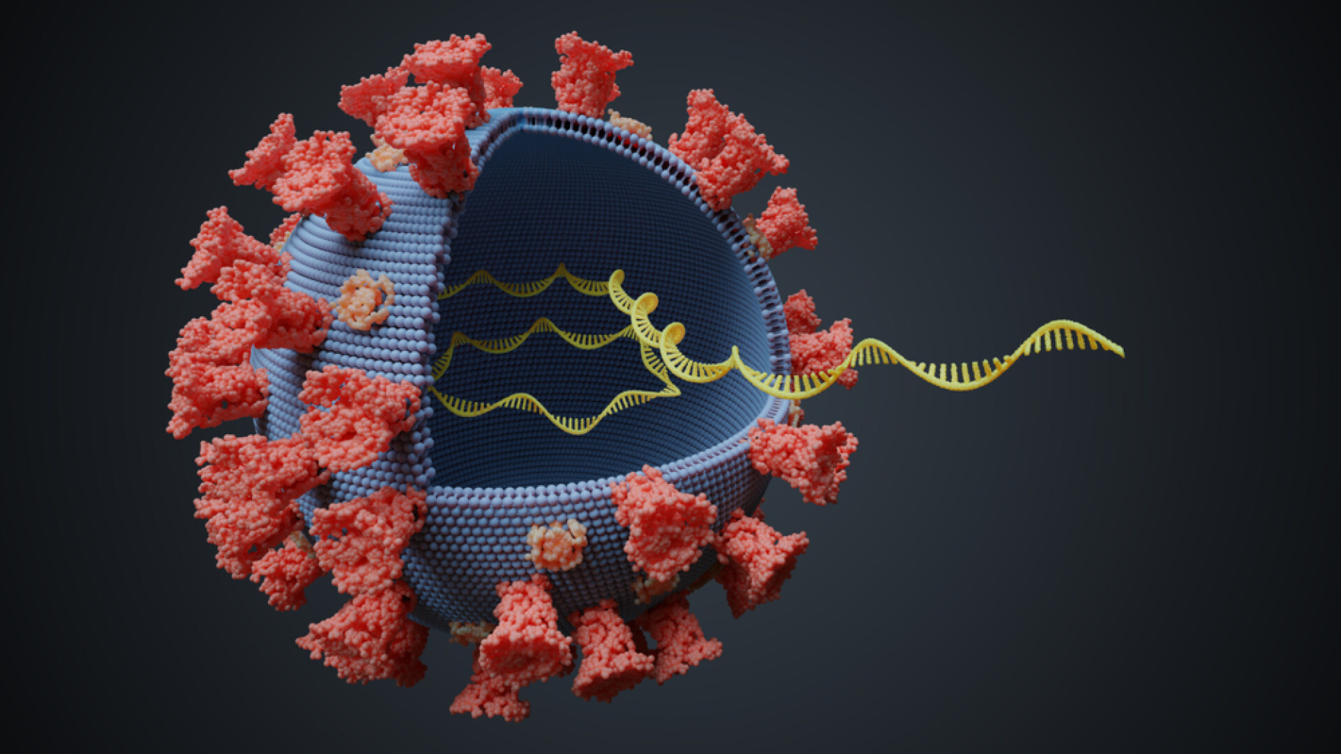 coronavirus