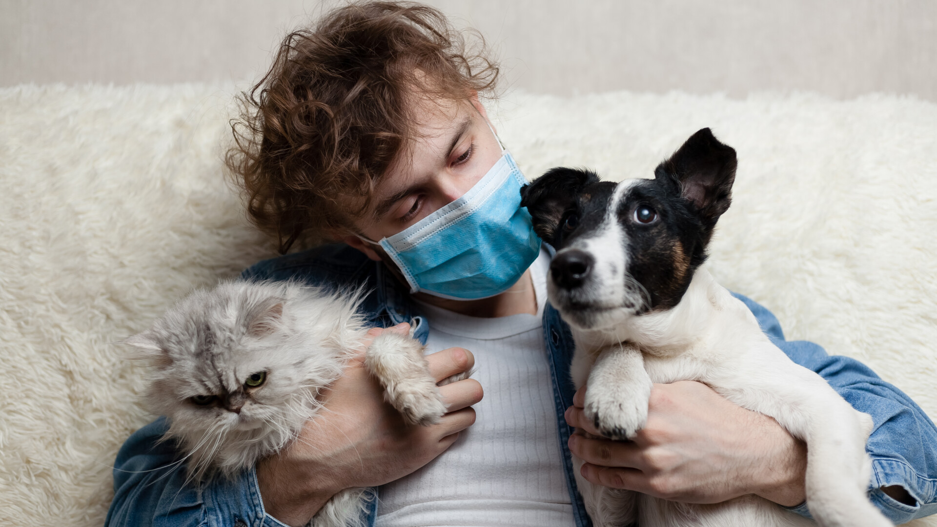 Câinii și pisicile vor fi testați pentru coronavirus. Țara care a luat această decizie