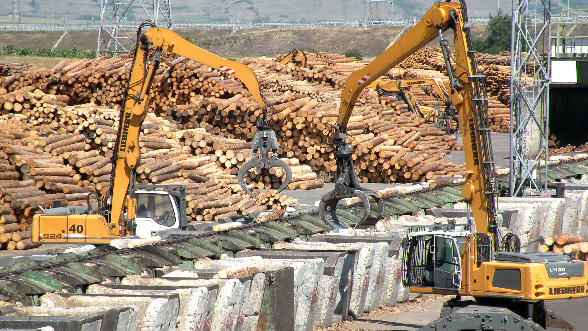 Cel mai mare exportator de lemn din România închide o fabrică și își reduce cu 30% operațiunile. Ce motive invocă
