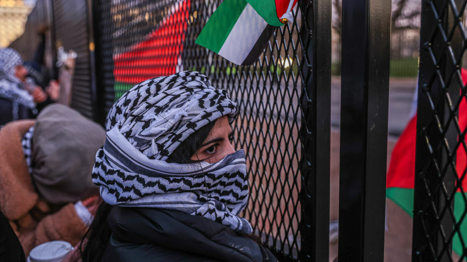 protest pro-palestina in Washington