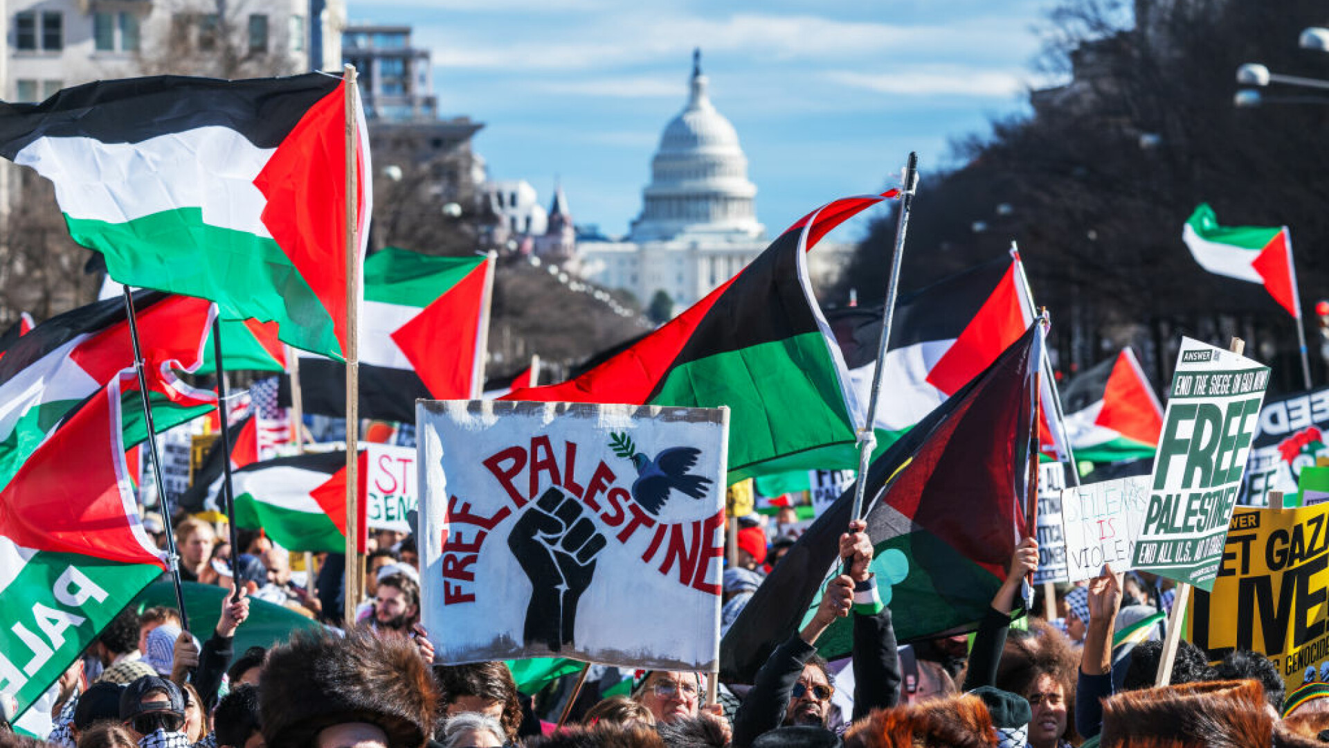 protest pro-palestina in Washington