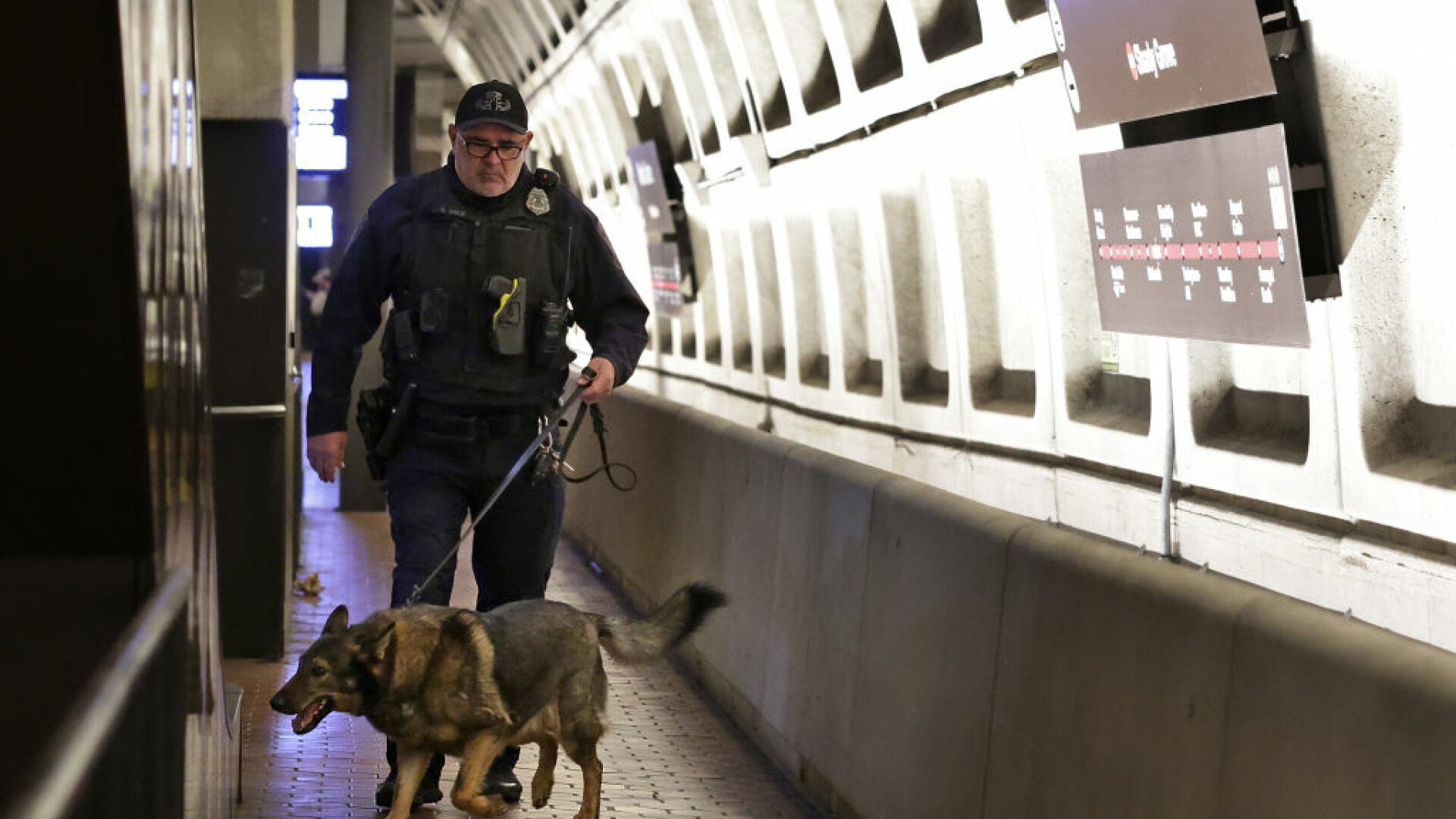 poliția americană