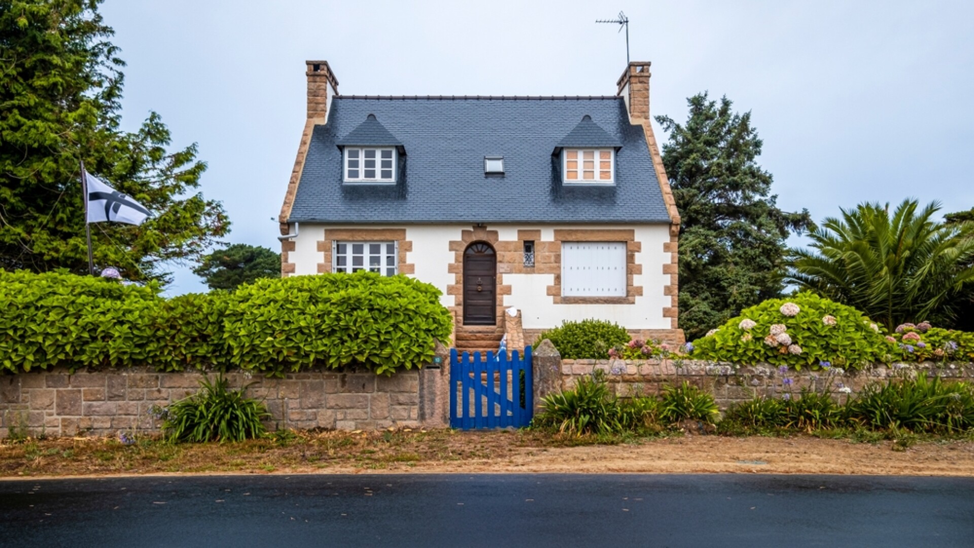 oras francez, Franta